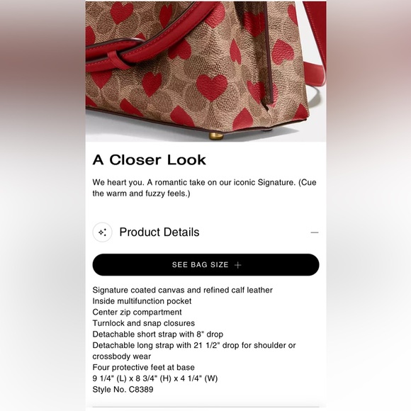 Coach Willow heart ❤️ print bucket bag - Picture 3 of 7